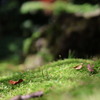 IMG_2305