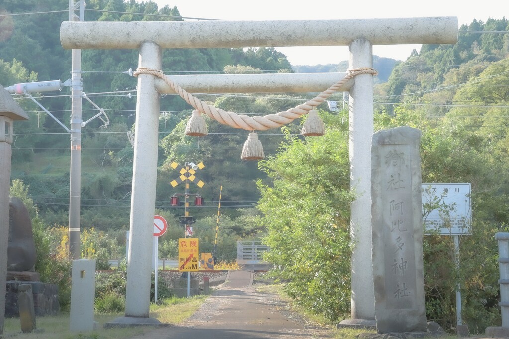 鳥居と踏切