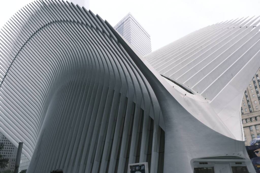 oculus