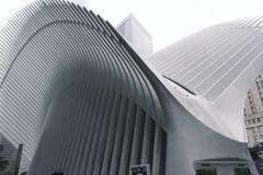 oculus