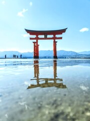 透明感