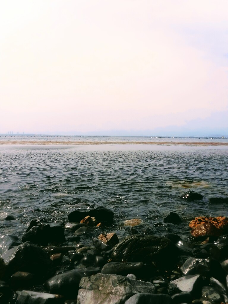 海岸