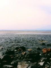 海岸