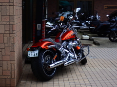 Harley-Davidson