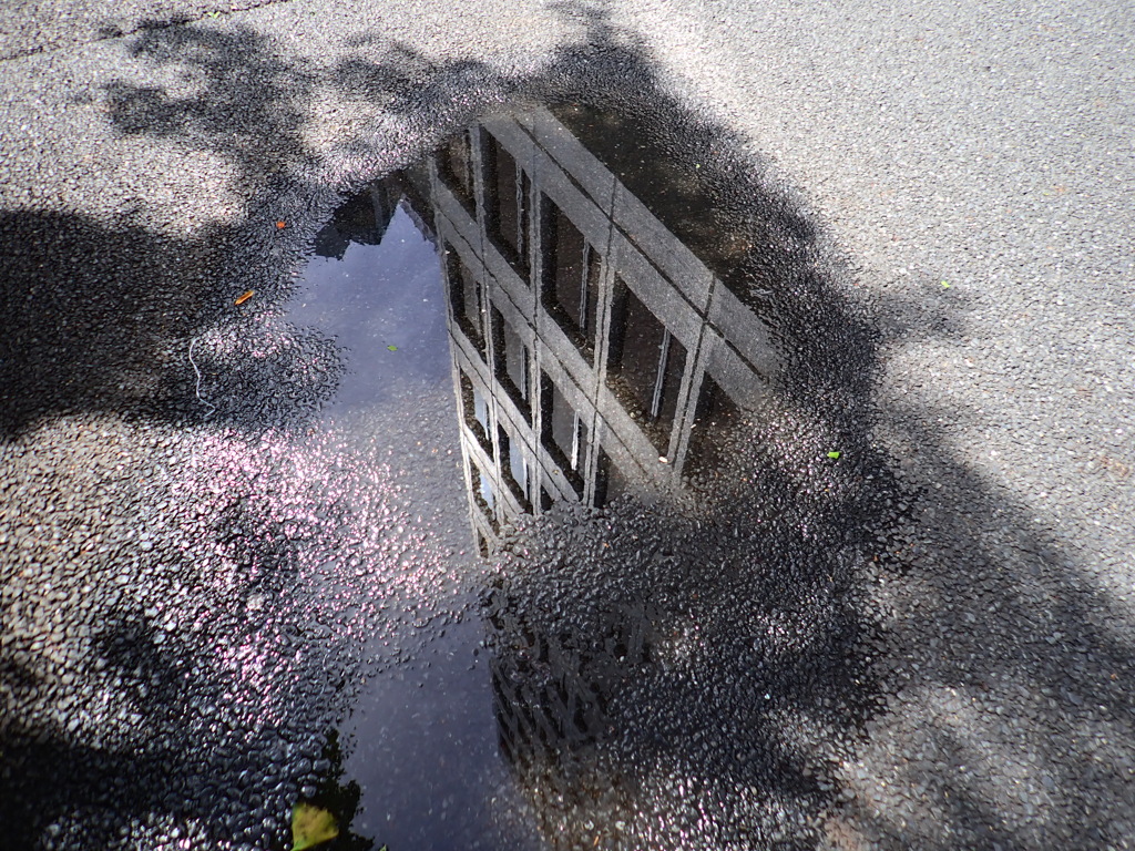 雨あがり