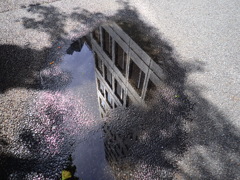 雨あがり