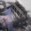 雨あがり
