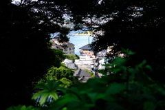 夏の江ノ島　その４