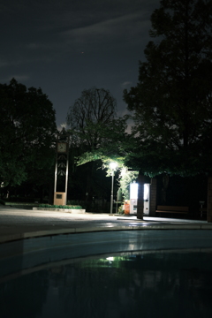 近場の公園