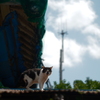 鋸山 その３