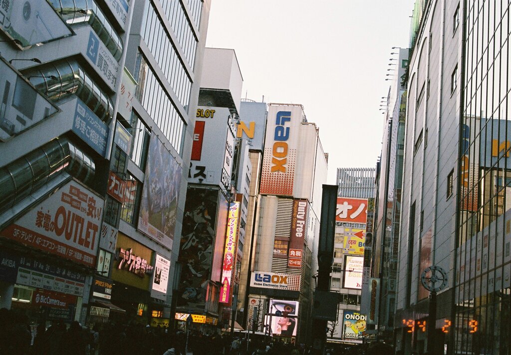 秋葉の風景　その17