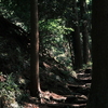 鋸山 その４