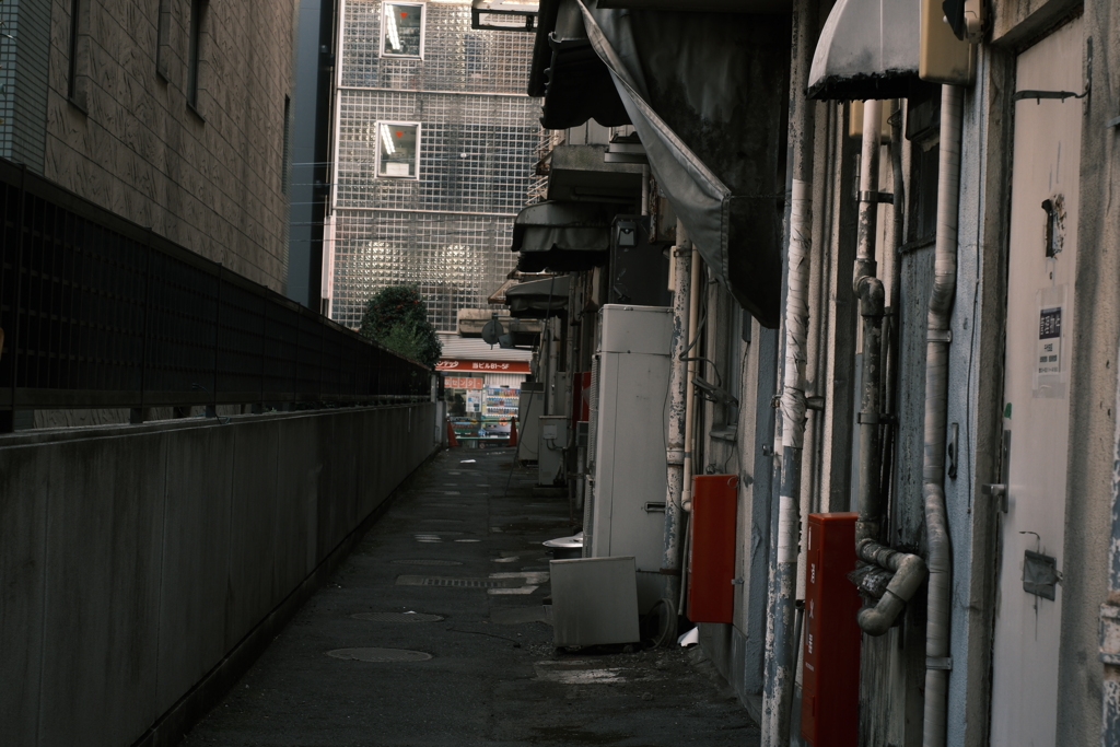 秋葉の風景　その３