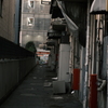 秋葉の風景　その３