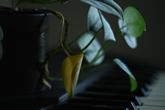 piano
