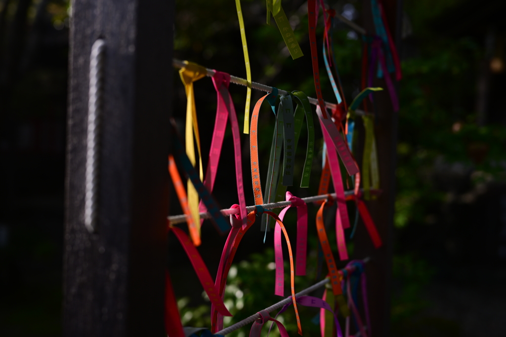 色とりどりの思い