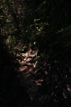 登山道
