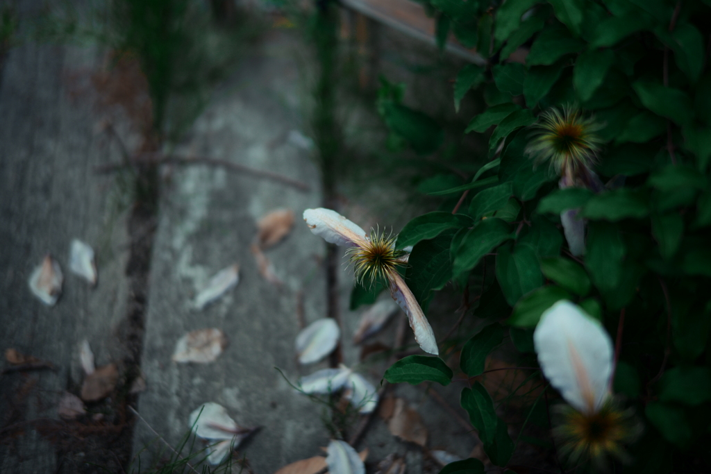 カウントダウン