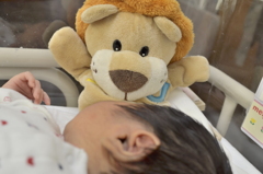 がおー