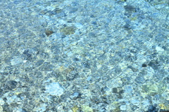 海