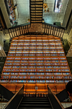 To the world  of  books