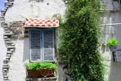 Wall Art  Ⅳ