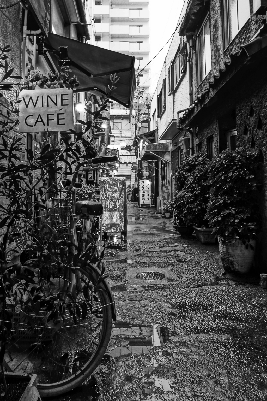 雨あがりの路地裏