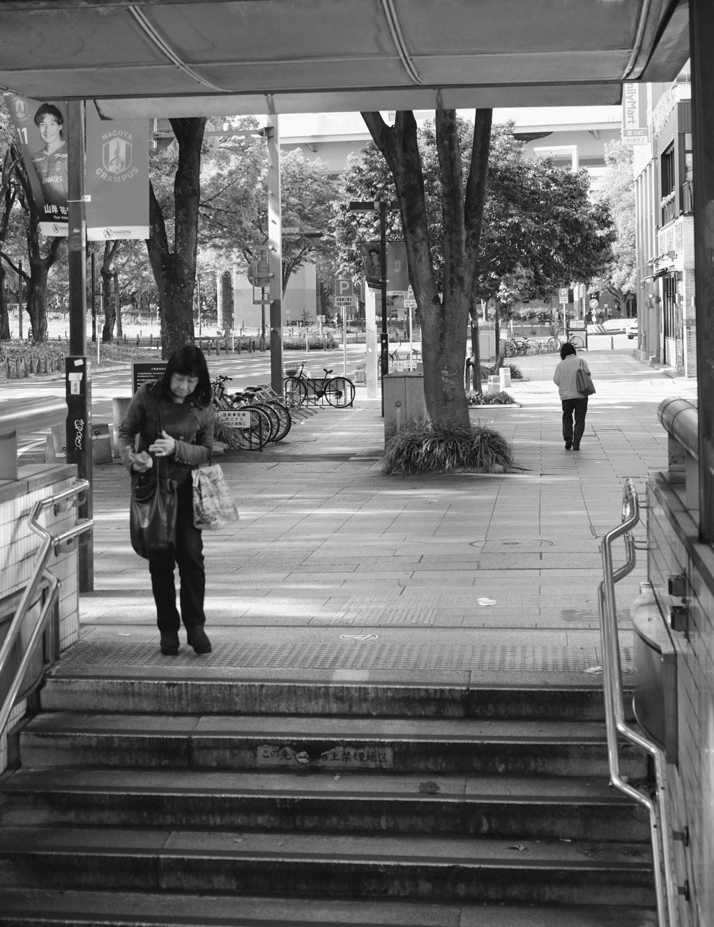 street view Ⅳ