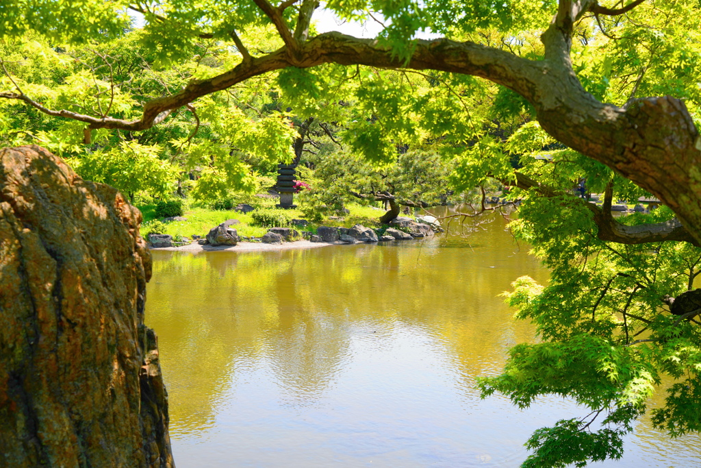 美しい庭園