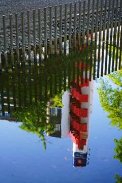 Scenery reflected  on the water