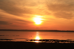 オレンジロード