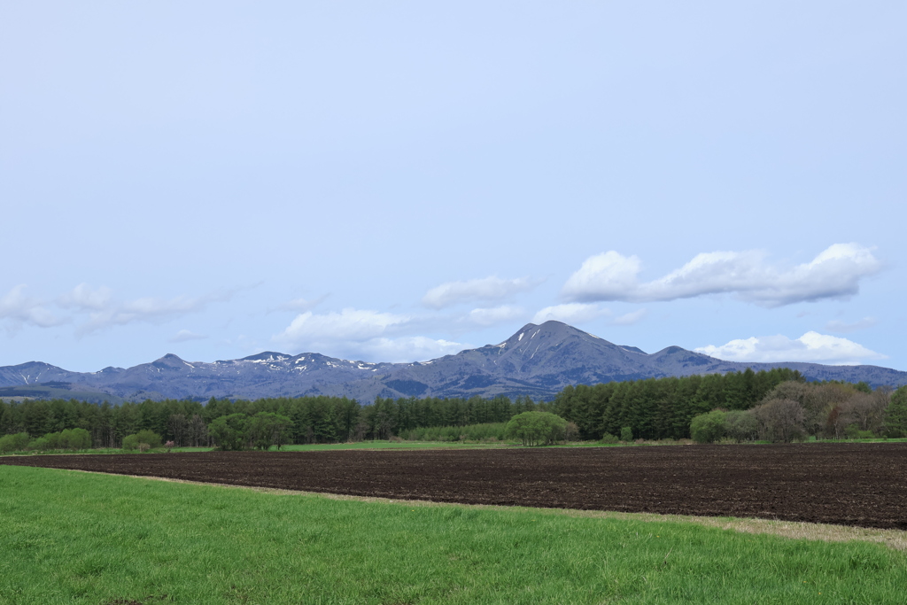 ５月の風景