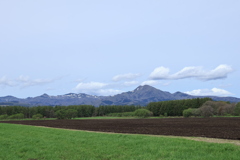 ５月の風景
