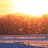 夕日に雪