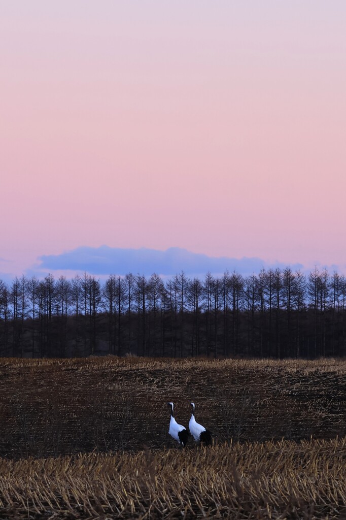 同じ方向を見つめる