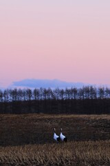 同じ方向を見つめる