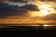 野付の夕景