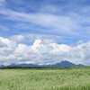 夏の風景