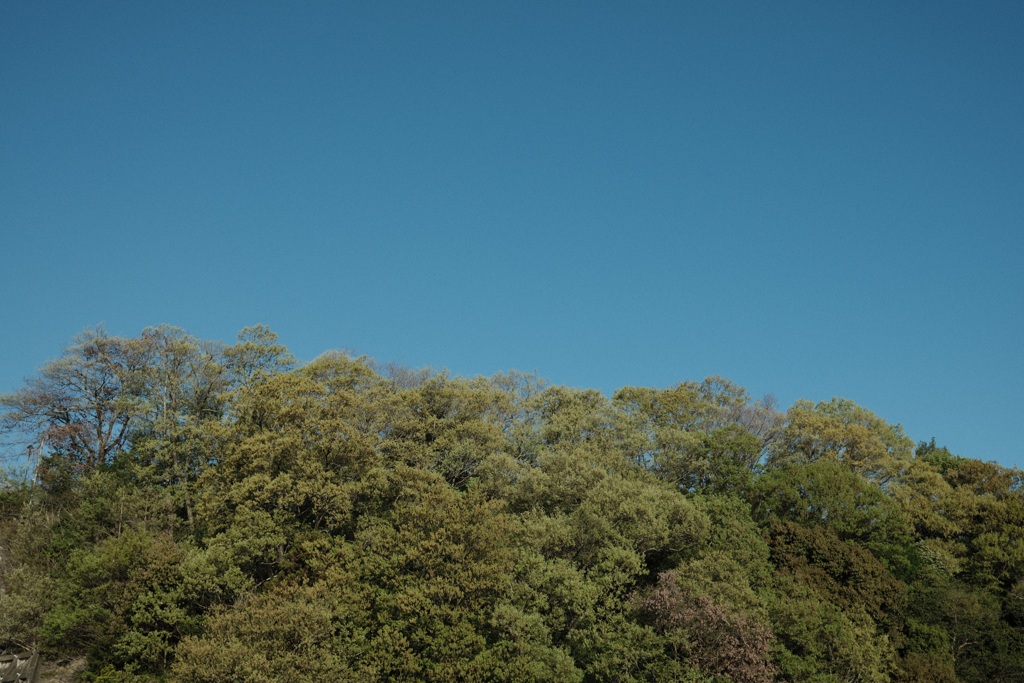 キャンプ場の空