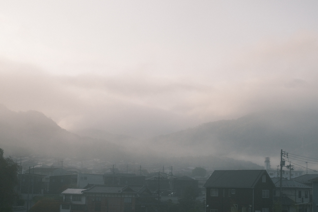 早朝お散歩