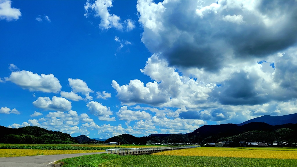 夏空II