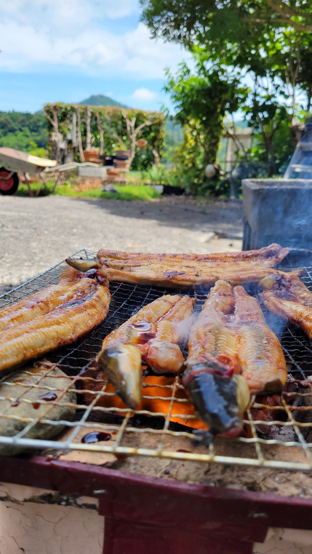土用の丑の日