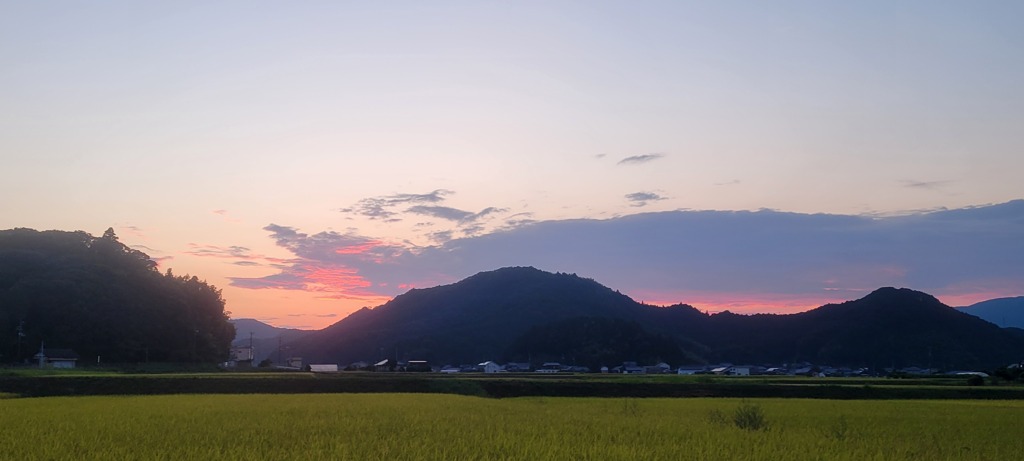 龍それとも大蛇
