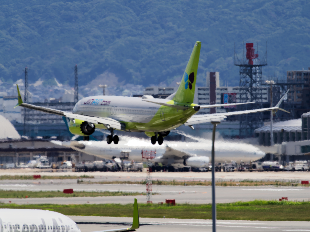 飛行機