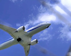 飛行機　✈