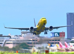 飛行機