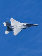 F-15