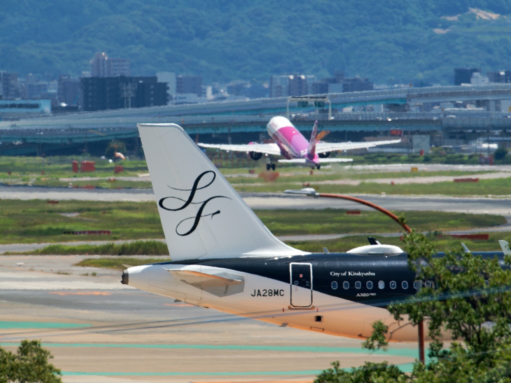 飛行機