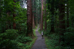 古くから続く登拝の路