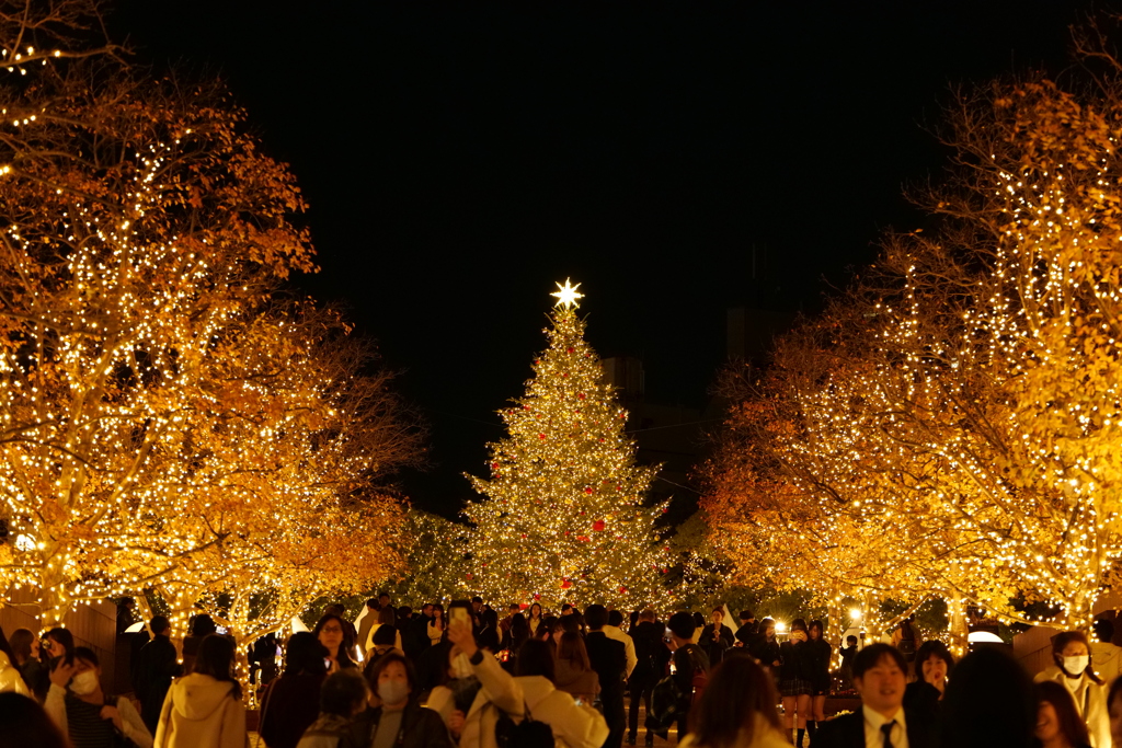 クリスマスイルミネーション